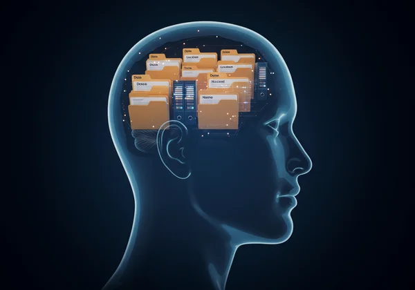 A brain depicted as an organized digital fact file